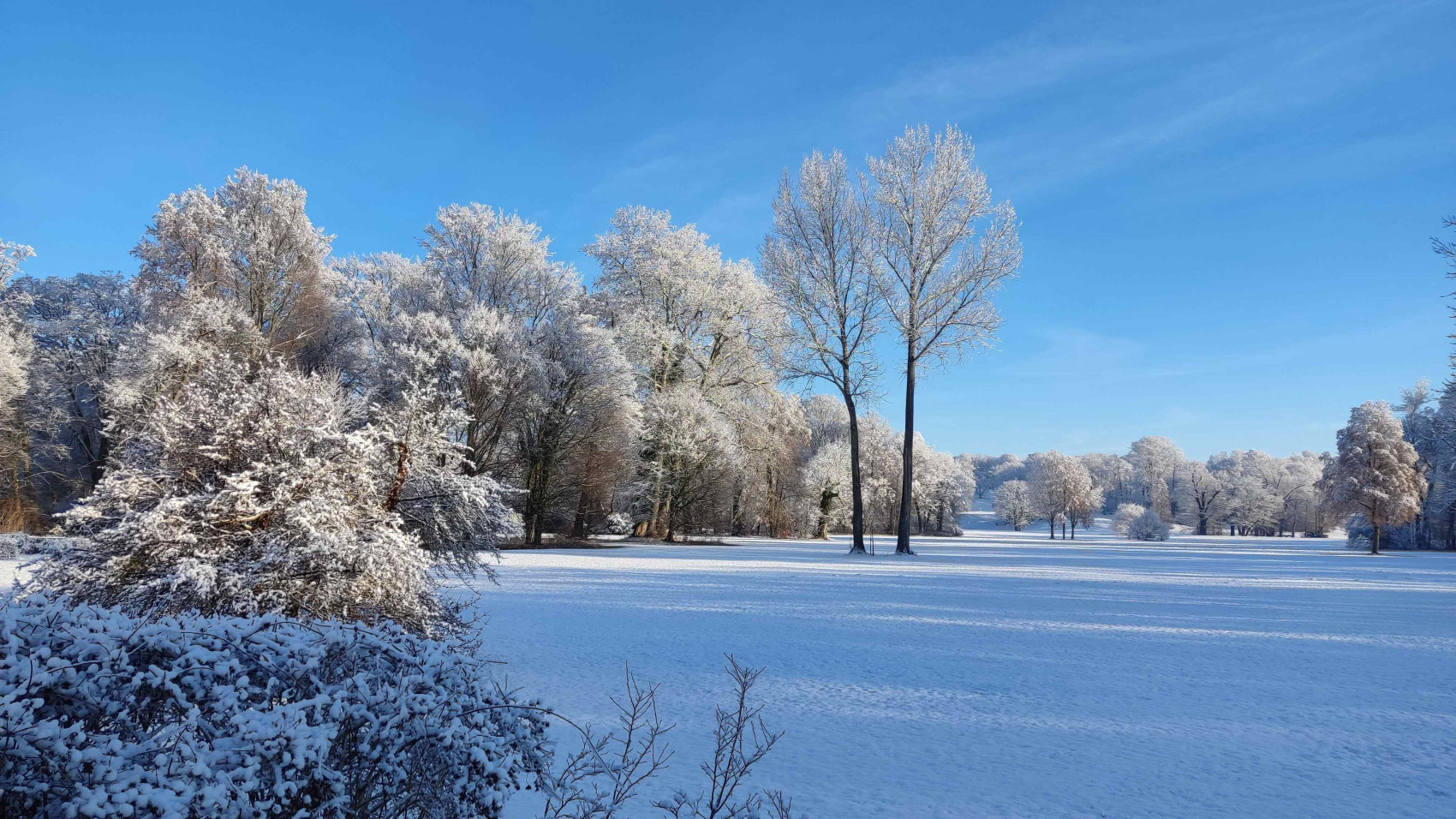 Der verschneite Muskauer Park mit Blick auf die Schlosswiese.