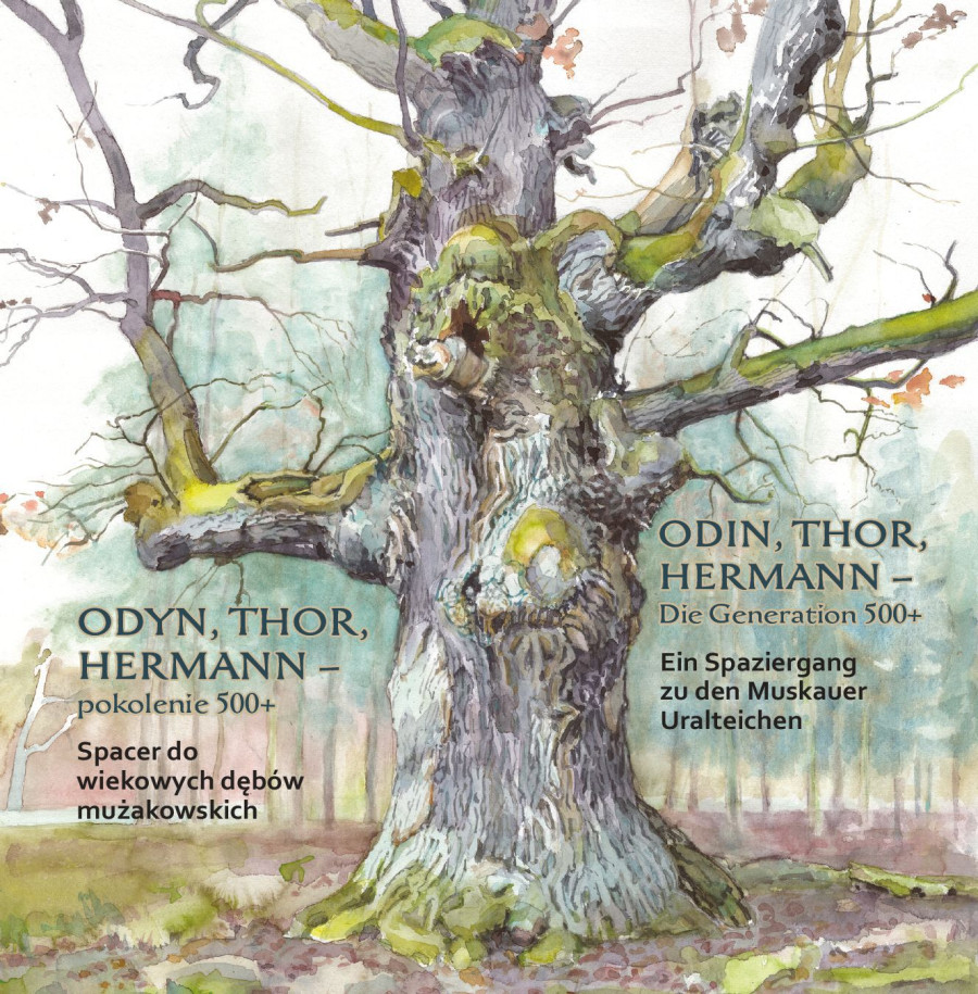 Das Titelbild der Eichenbrosch&uuml;re