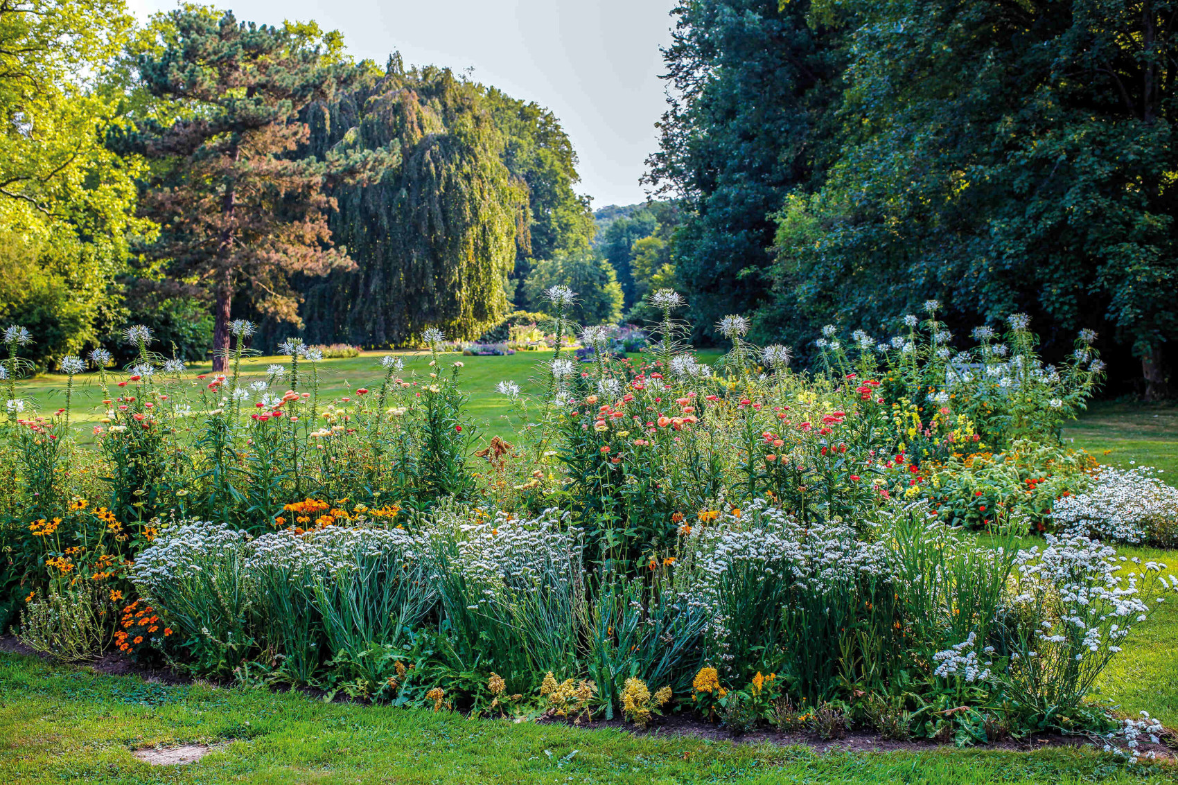 Blumenbeete im Herrengarten